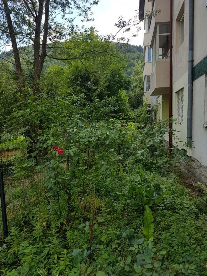 Premium Apartment Sinaia Luaran gambar